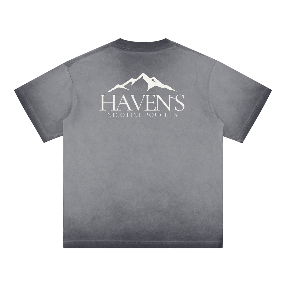 Haven's Alternative T-Shirt Back Grey