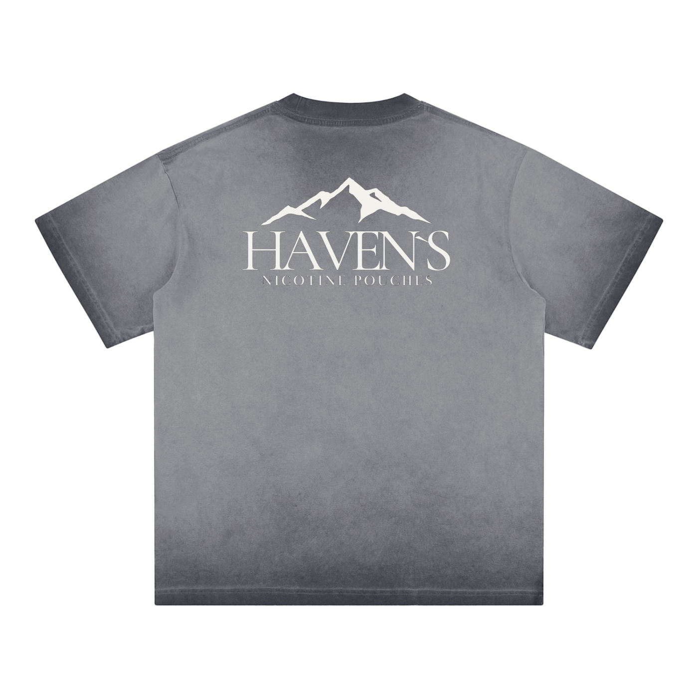 Haven's Alternative T-Shirt Back Grey